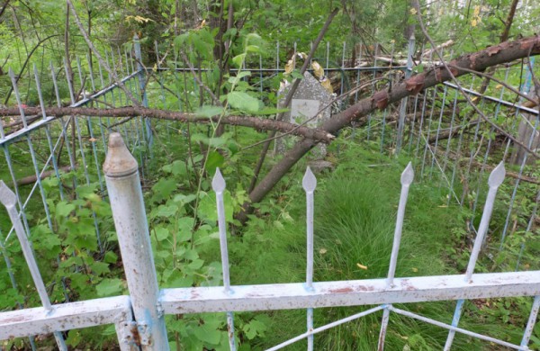 Misija Sibiras: 14 nežinomybės dienų (dienoraštis)