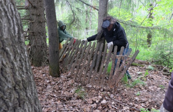 Misija Sibiras: 14 nežinomybės dienų (dienoraštis)
