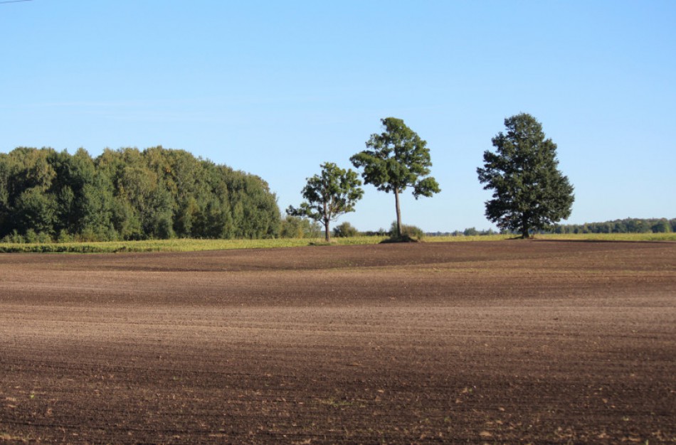 Ministras K. Navickas: „Auditas patvirtino: NŽT jai patikėtą valstybės turtą – žemę – valdo neefektyviai“