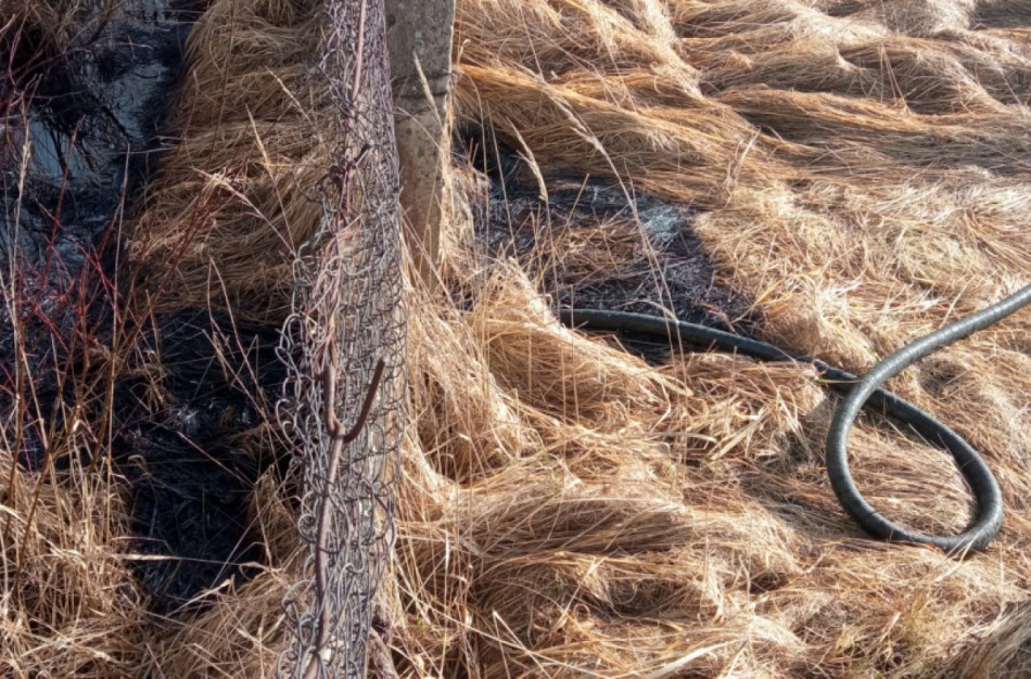 Rajono Ekstremalių situacijų komisijos posėdyje paaiškinimus dėl cheminės taršos teikė "NAPC" vadovas