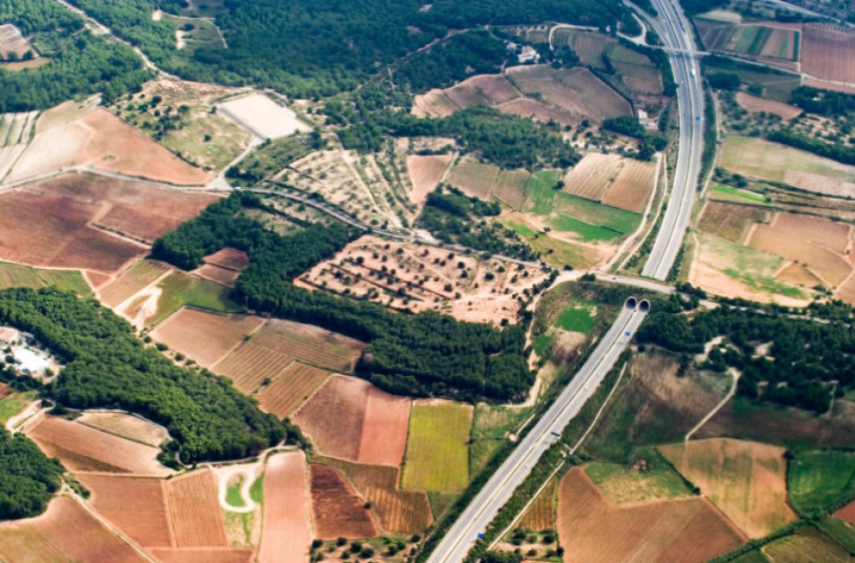 Aplinkos ministerija: Didesnis savarankiškumas savivaldybėms