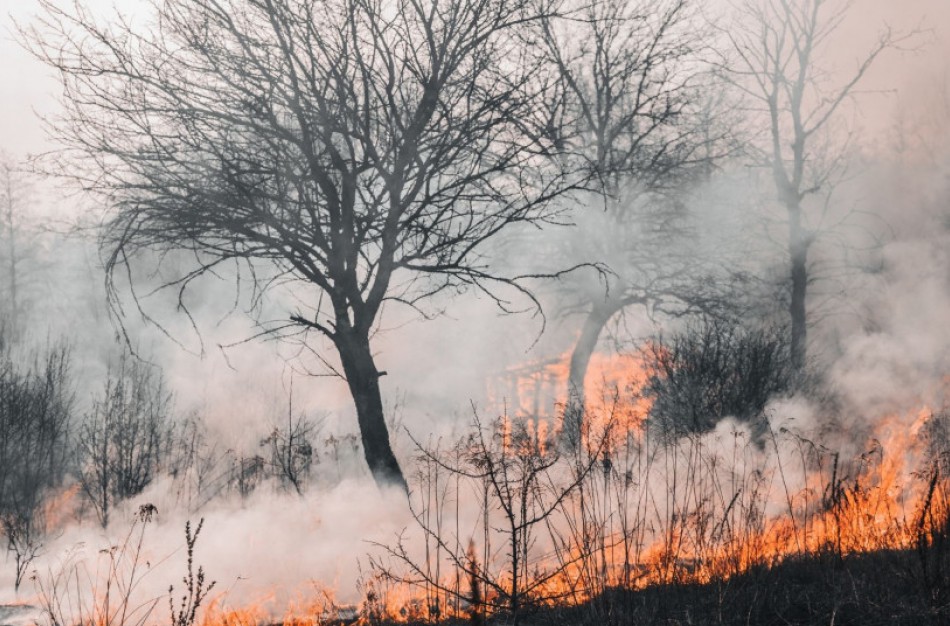 Žolės degintojai bus tramdomi baudomis, juos fiksuos dronai