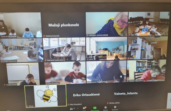 Mažoji plunksnelė – 2022