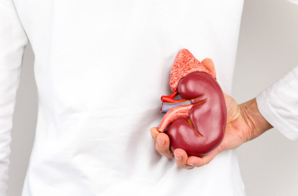 Gyvoji organų donorystė: kuomet pagalbos ranką ištiesia artimieji