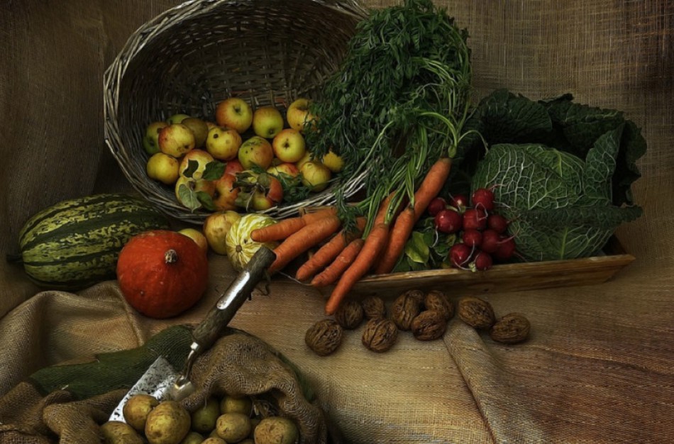 Pakeistos Ekologinio žemės ūkio taisyklės – kas naujo?