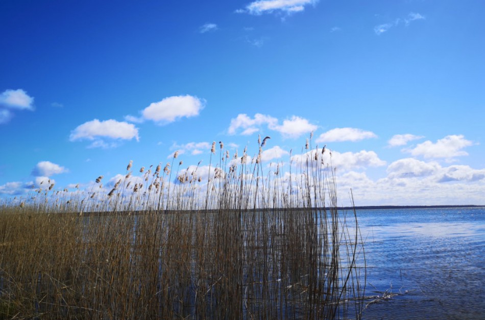 Norintiems tvarkyti vandens telkinius teks palūkėti, kol neršia ir migruoja žuvys, peri vandens paukščiai