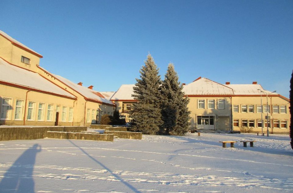 Pastatų su žemės sklypu Jaunystės g. 8, Upninkų k., pakartotinis pardavimo aukcionas