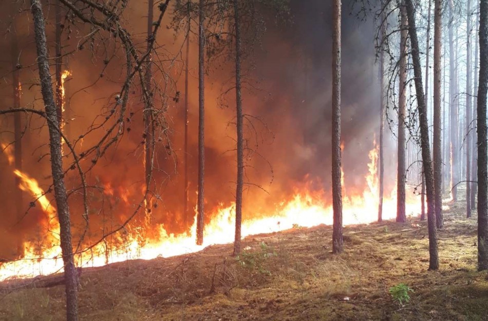 Miškininkai įspėja – prasideda gaisrų sezonas
