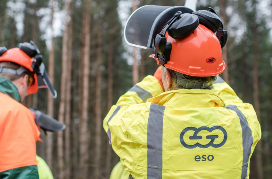 ESO primena: gyventojai atsakingi už jų žemėje šalia elektros linijų augančių medžių priežiūrą