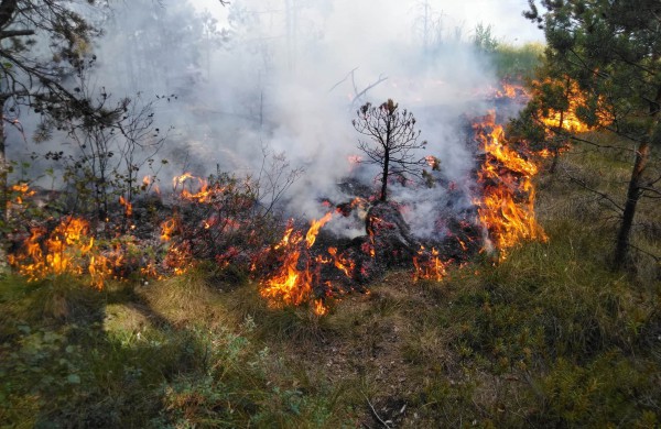 Prasidedant gaisrų sezonui – miškininkų reidai
