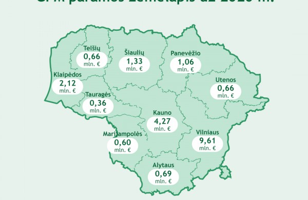 VMI: Šiemet paramą skirti dar paprasčiau