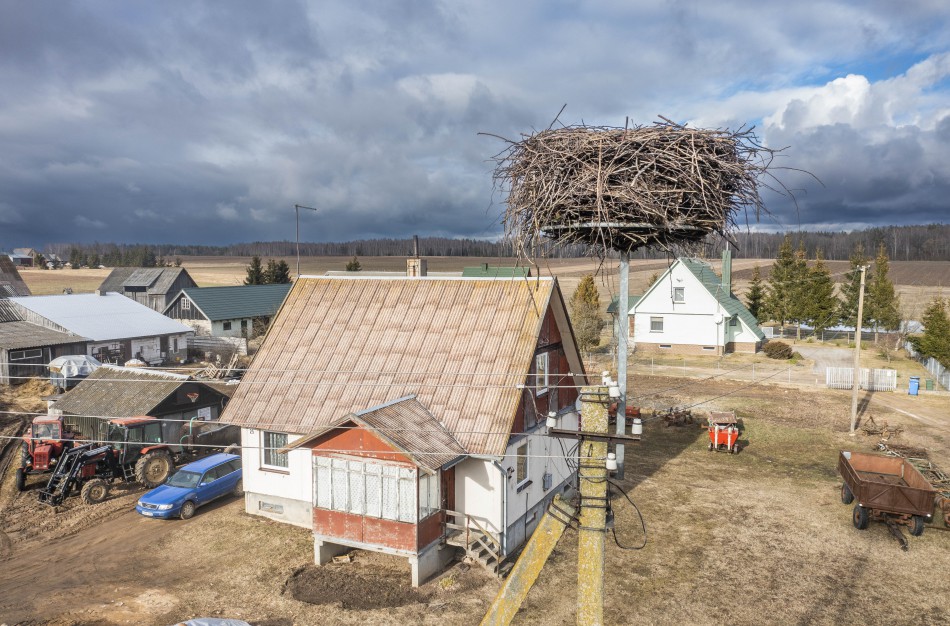 ESO rūpinasi, kad grįžtantys gandrai parskristų į saugius lizdus