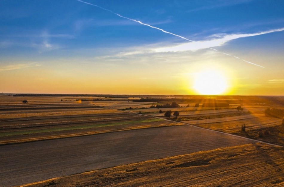 Žemės ūkio ministerija keičia deklaravimo taisykles, kuriose – išimtys dėl žalinimo