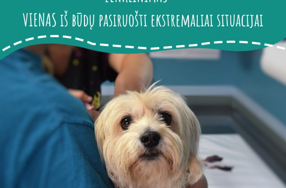 Gyvūnų ženklinimas – vienas iš būdų pasiruošti ekstremaliai situacijai