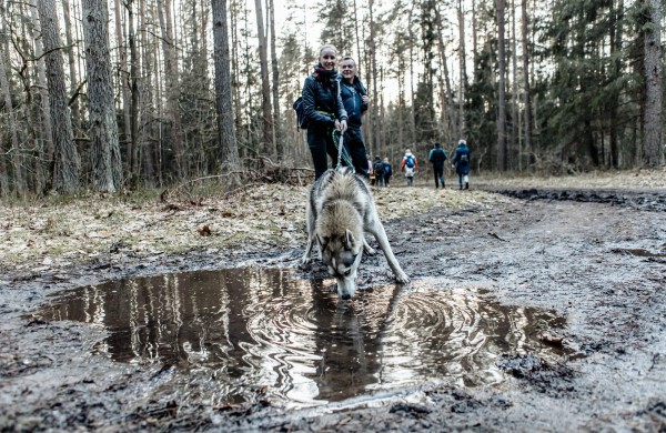 Jonaviečiai trokšta keliauti. Jonavos TIC pasiūlys ne vieną žygį pėsčiomis