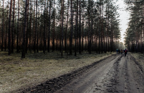Jonaviečiai trokšta keliauti. Jonavos TIC pasiūlys ne vieną žygį pėsčiomis