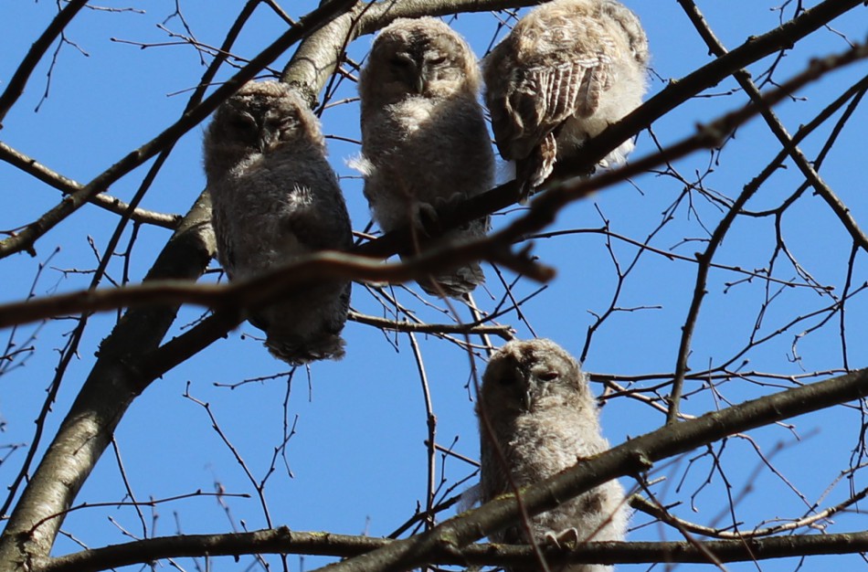 Palikti nereikia padėti!