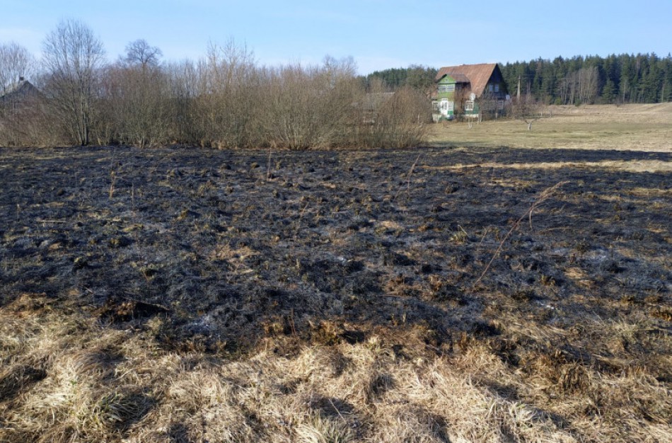 Jonavos rajone degė šimtai arų žolės - ugnis pasiglemžė ir kitą turtą