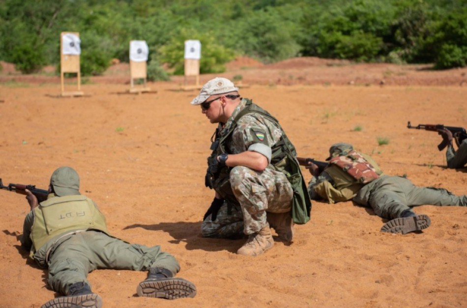 A. Anušauskas: tarptautinės pastangos Afrikoje turi būti tęsiamos, į teroristų pusę atvirai stojo Rusija