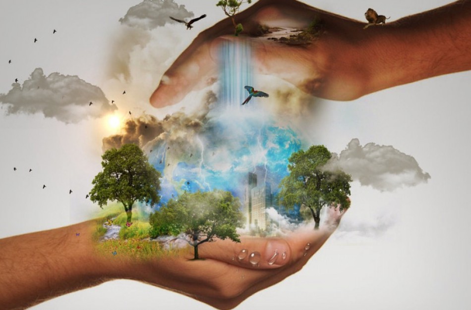 Klimato šiltėjimas veikia vabzdžių ir erkių platinamų ligų paplitimą ir sezoniškumą