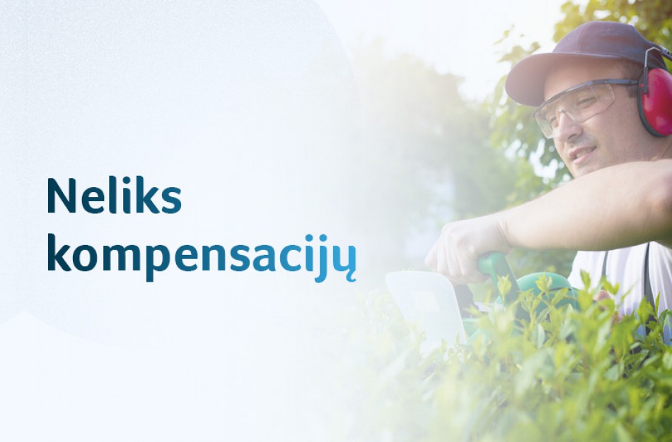 Aktualu dirbantiems lauke ir keliaujantiems, važinėjantiems: neliks kompensacijų