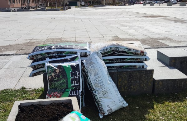 Prasidėjo sodinimo darbai: šiemet miestas sužydės naujomis gėlėmis