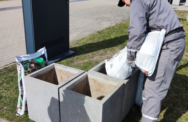 Prasidėjo sodinimo darbai: šiemet miestas sužydės naujomis gėlėmis