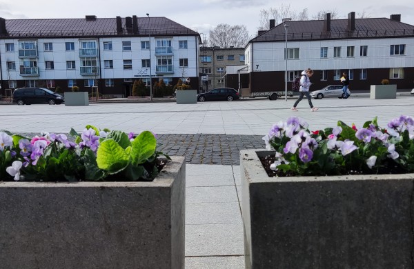 Prasidėjo sodinimo darbai: šiemet miestas sužydės naujomis gėlėmis