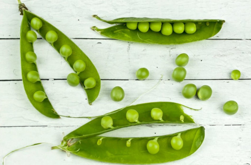 Ankštinių ir baltyminių augalų perdirbėjams – daugiau galimybių gauti paramą