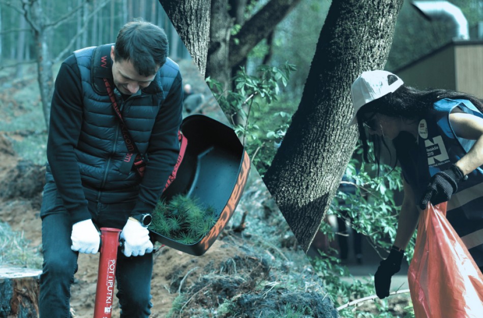 Šeštadienį visoje Lietuvoje sodinsime miškus ir rinksime šiukšles