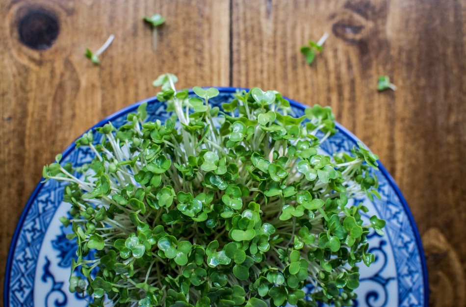 Balandžio 25-oji – daržų diena, senovės lietuviai pradėdavo daržų darbus