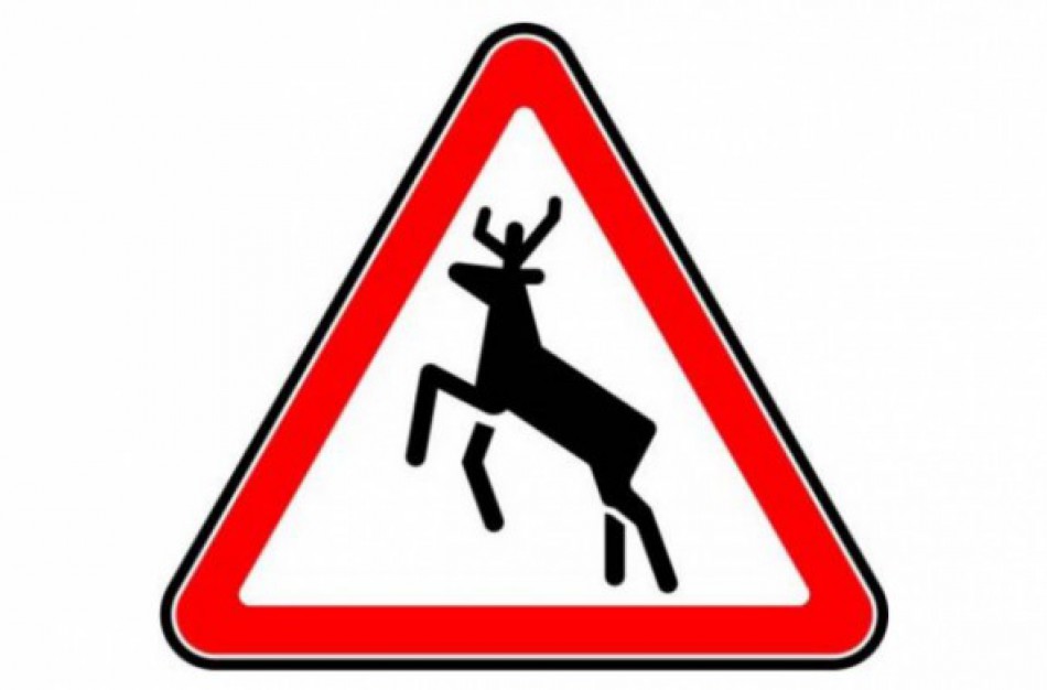 Balandžio 25-osios eismo įvykiai: Jonavos rajone - du susidūrimai su gyvūnais