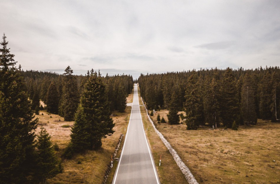 Kaip statyti automobilius pajūryje, kad nepažeistumėte aplinkosauginių reikalavimų