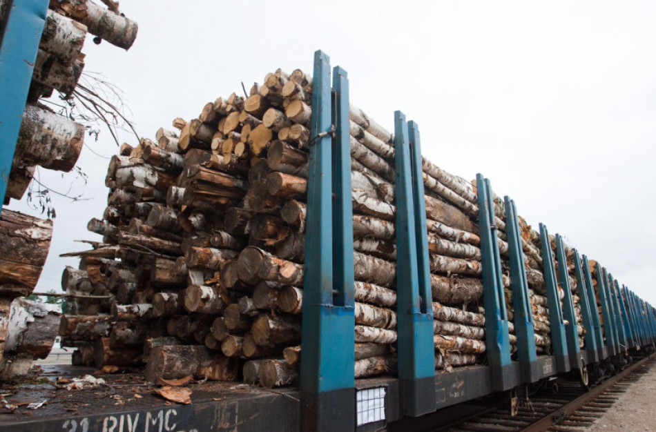 Keičiama prekybos valstybiniuose miškuose pagaminta mediena tvarka
