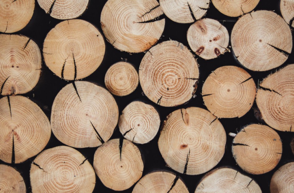 Svarbu žinoti: veiklos vykdytojų, teikiančių rinkai medieną ir medienos produktus, pareigos