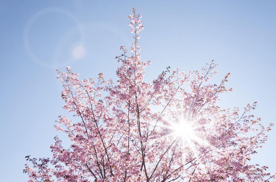 Vaistininkė apie kremų nuo saulės matematiką, soliariumą prieš atostogas ir odos apsaugą