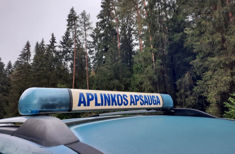 Nusprendę atliekomis atsikratyti bet kur, galite netekti ir automobilio