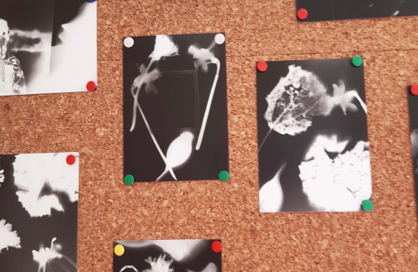 Edukacinės dirbtuvės „Kasdieniai objektai kūryboje” Jonavoje