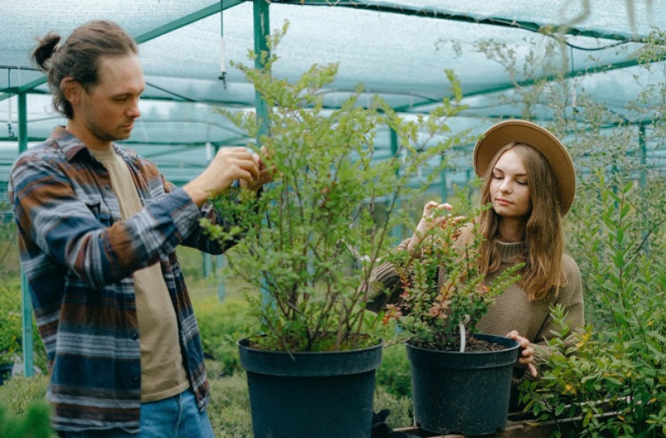 Jaunieji ūkininkai raginami kurti verslą kaime – projektui įgyvendinti galės gauti 40 tūkst. eurų