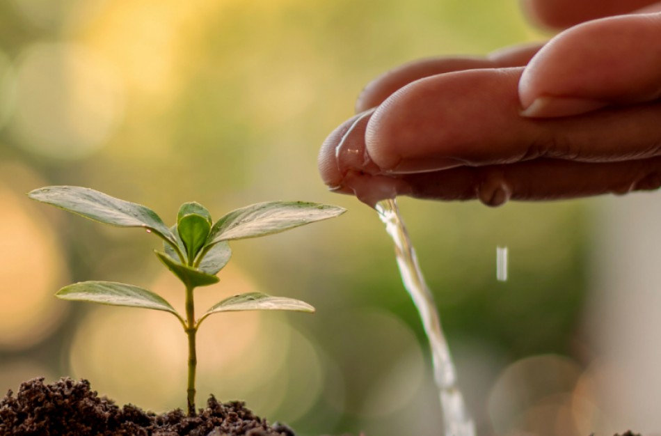 Vandens gręžinių įteisinimas: kur rasti dažniausiai užduodamus klausimus?