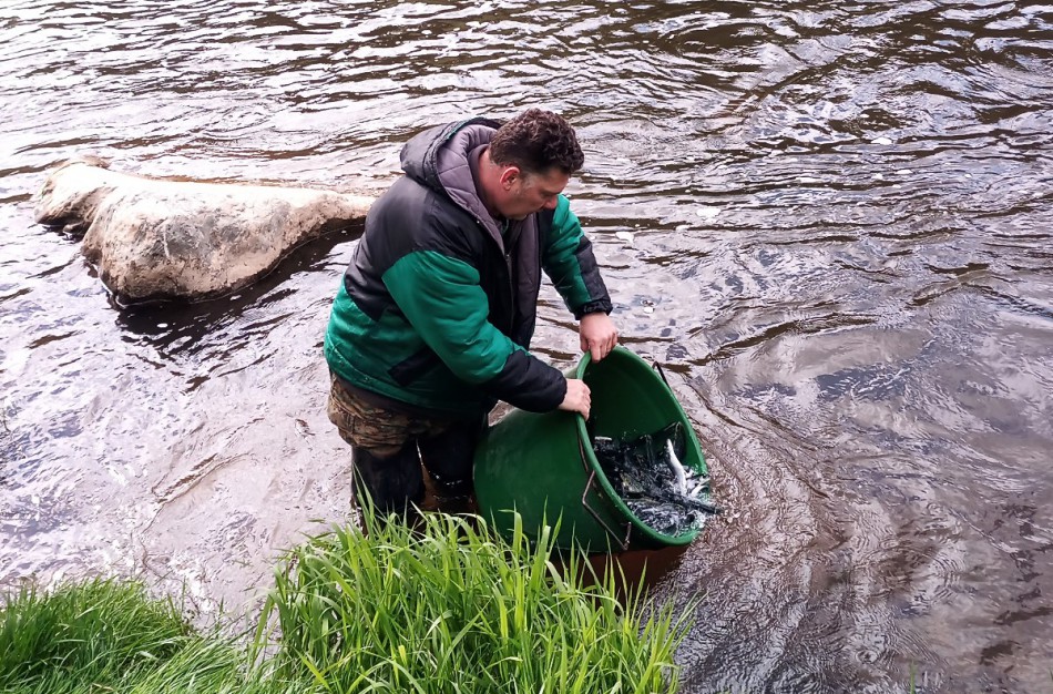 Jonavos rajone gausinami žuvų ištekliai