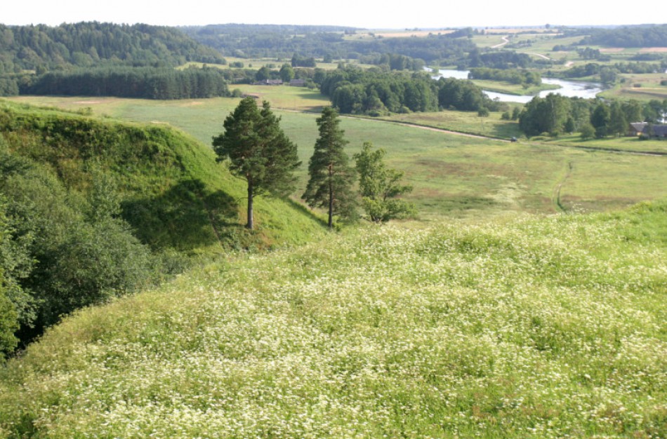 Žolės smulkinimas nerekomenduojamas nuolatinei pievų priežiūrai
