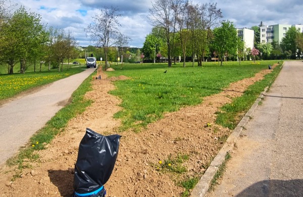 Šalia tvenkinio esančio tako pastebėti ,,maišai" užminė mįslę: kokie darbai vykdomi?