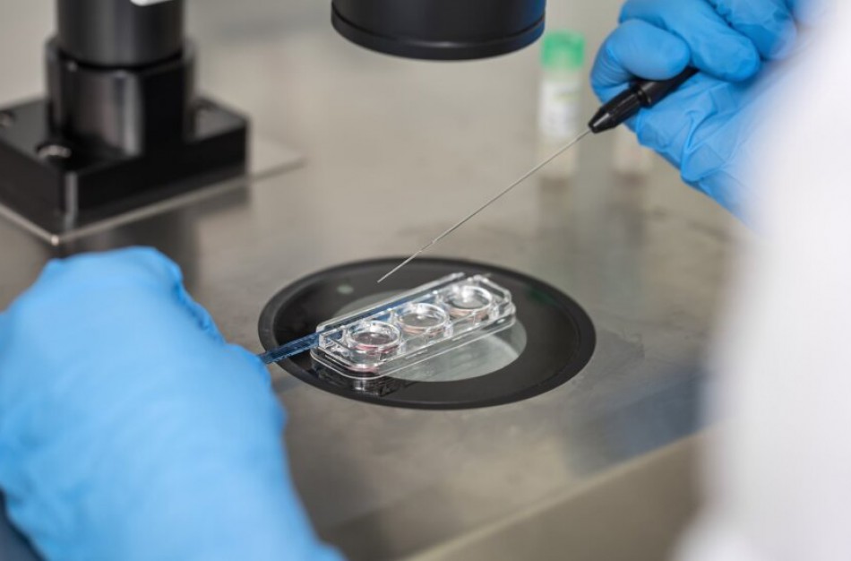 Embrionai galės būti saugomi terminuotą laiką