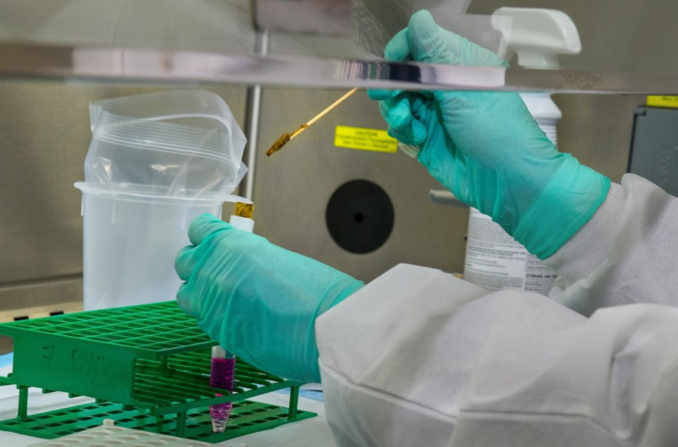 ULAC: Beždžionių raupų plitimo tikimybė didesnėje populiacijoje yra labai maža