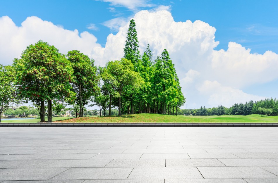 STT: Žemės įstatymo pakeitimo projekte įžvelgiama galimybė savivaldybėms neskaidriai skirstyti valstybinę žemę