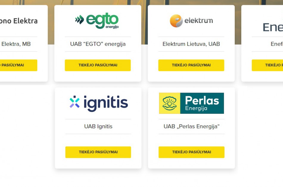 Ekspertė pataria: kaip pasirinkti elektros tiekėją?