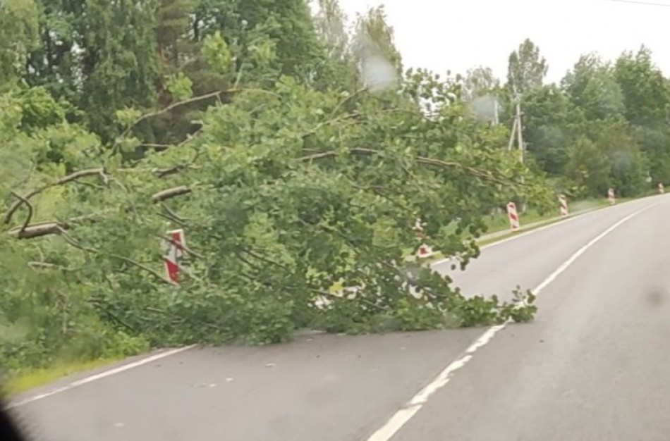 Jonavos rajoną siaubė vėjo gūsiai  