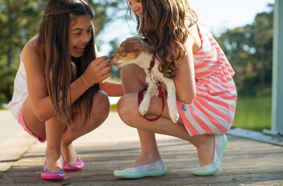 Neprižiūrimi augintiniai gali platinti pavojingas ligas