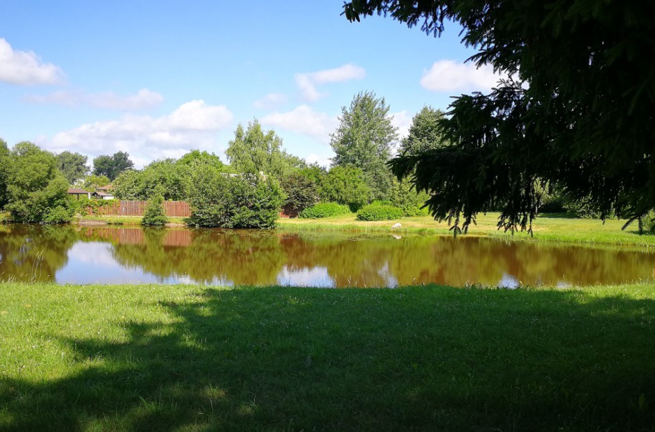 Atlikti pakartotiniai Taurostos tvenkinio vandens tyrimai
